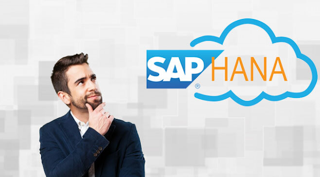 What Is SAP HANA Migration to Public Cloud?